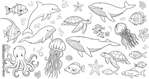 Whimsical sketchbook page of marine life dolphins whales fish and other sea creatures
