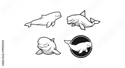 Beluga Whale Illustrations - A Collection of Aquatic Mammal Designs.