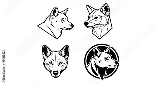 Dingo Head Vector Illustrations - A Collection of Canine Portraits.