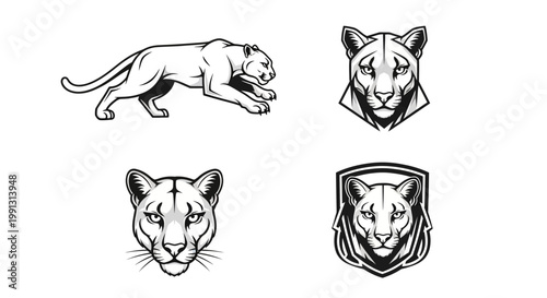 Elegant Puma Illustrations - A Study in Feline Grace and Power.
