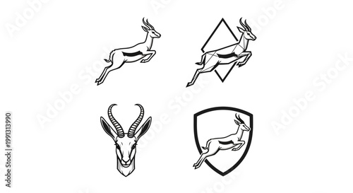 Elegant Springbok Antelope Illustrations - A Collection of Dynamic Wildlife Art.