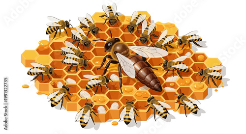 Digital illustration of a queen bee surrounded by worker bees on a honeycomb structure, rendered with a flat, graphic style, featuring bright yellow and white colors against a stark white