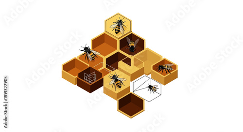 Isometric vector illustration showcasing bees working in a honeycomb structure with various shades of brown and yellow against a clean white backdrop, depicting a focus on apiculture