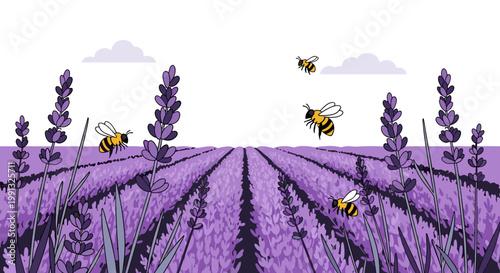 Bees in a lavender field.