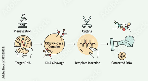 DNA Analysis with Scientific Charts and Laboratory Data Visualization