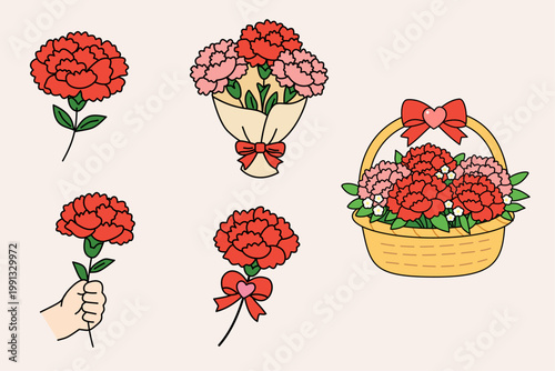 Carnation Gift Illustration Set (Bouquet, Basket, Ribbon, Hand)