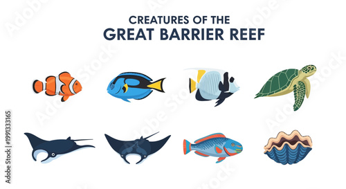 Marine life Great Barrier Reef creatures.