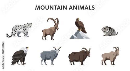 Mountain animals and wildlife creatures.