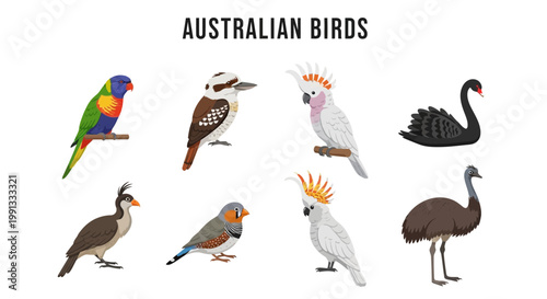 Colorful Australian bird species collection.