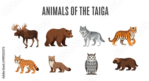 Animals of the Taiga Forest Ecosystem.