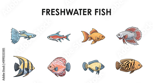 Freshwater Fish Species Aquarium Collection.