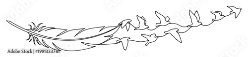 Linear graphic of a feather morphing into a flock of birds, representing flight and spiritual liberation.