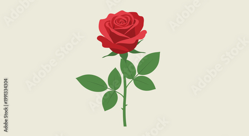 Beautiful single red rose with a long green stem and multiple leaves is illustrated in a flat style on a neutral off-white background.