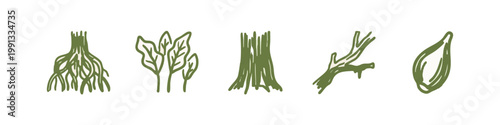 Set of Hand-Drawn Plant Botany and Tree Part Icons in Green Doodle Style