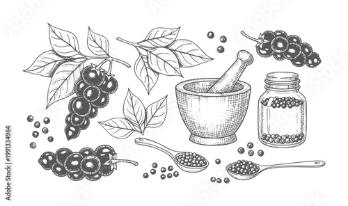 Black peppercorns with leaves mortar pestle and jar spice ingredient