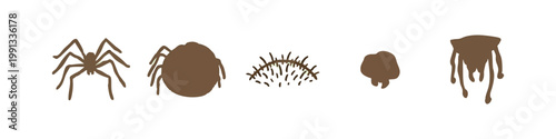 Fotografi Hand-drawn spider and insect-like forms in brown