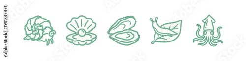 Seafoam Green Hand Drawn Sea Creatures and Shells Icon Set with Squid