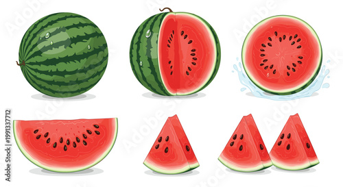 Assorted watermelon illustrations including a whole fruit, halves, slices, and wedges with juicy red flesh and black seeds.