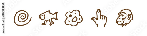 Set of Hand Drawn Biology and Evolution Icons in Brown Doodle Style