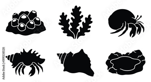 Marine life silhouettes featuring crabs, seashells, barnacles, seaweed for various ocean themed graphic designs