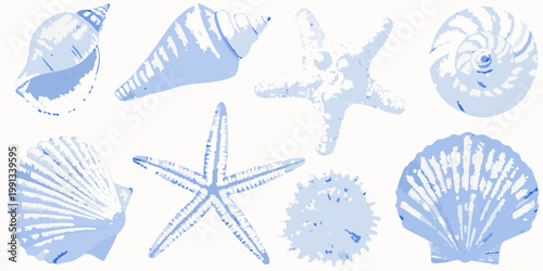 Pale blue watercolor illustration of seashells and starfish on white