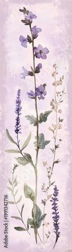 Delicate watercolor botanical illustration featuring purple flowers wallpaper