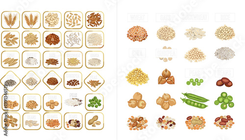 Detailed Grain and Legume Collection Set with Wheat Oats Buckwheat Rice Chia Chickpea Peas and Beans for Food Design