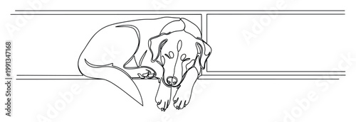 Minimalist continuous line drawing of a peaceful sleeping dog curled up on a shelf, ideal for pet care and relaxation concepts.
