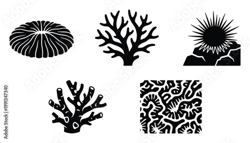 Diverse marine life and coral reef creatures silhouettes for ocean environment science education materials