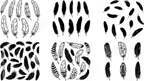 Hand drawn feather collection with detailed and silhouette styles, decorative bird plumage elements vector illustration set