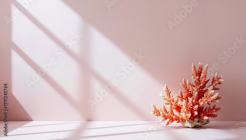 Minimalist coral branch bathed in sunlight on a blush pink wall