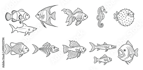 Outline drawings of diverse fish and marine creatures useful for educational or aquatic themed projects.