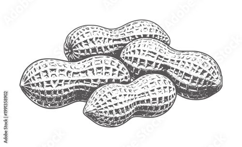 Group of five textured peanuts in a pile food snack legume