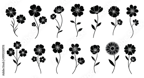 Adobe Illustrator Artwork