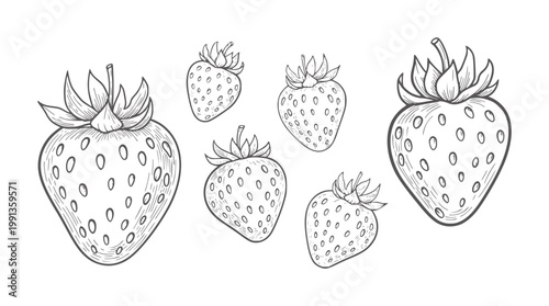 Hand drawn of six strawberries with seeds and leaves strawberry fruit food healthy