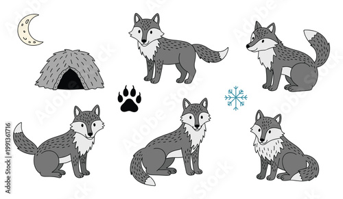 Gray wolves standing and sitting with moon, paw print, and snowflake for nature education and winter designs