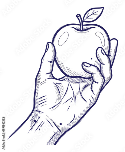 Human hand gently holding a single fresh apple with a green leaf in a blue ink line sketch style perfect for healthy eating visuals