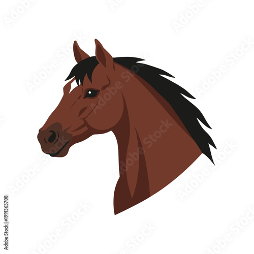 Foto Brown Horse Head Flat Side View animal chestnut