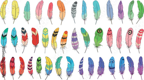 Set of colorful decorative feathers with various patterns, bright plumage collection isolated on white vector illustration