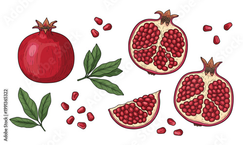 Fresh pomegranate fruit and segments with seeds and leaves useful for healthy food, juice, or snack designs