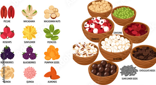 Colorful Nuts Seeds and Berries Collection Set with Macadamia Pistachio Almond Sunflower Cranberry and Bowl for Food Design