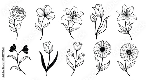 Adobe Illustrator Artwork