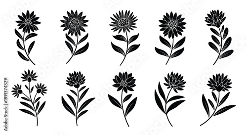 Adobe Illustrator Artwork