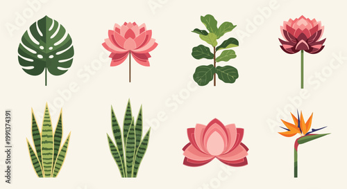 Adobe Illustrator Artwork