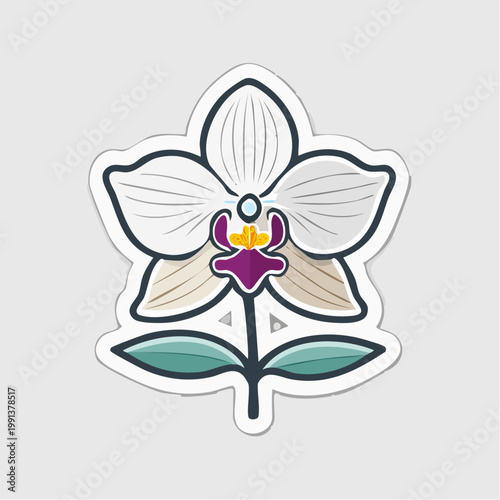 Stylized White Orchid Flower Illustration