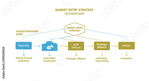 Market Entry Strategy, Business Planning, Decision Map, Vector Flowchart