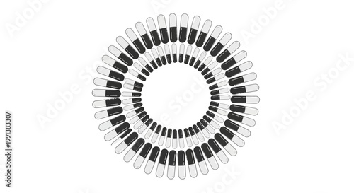 Black and white spiral shaped object.