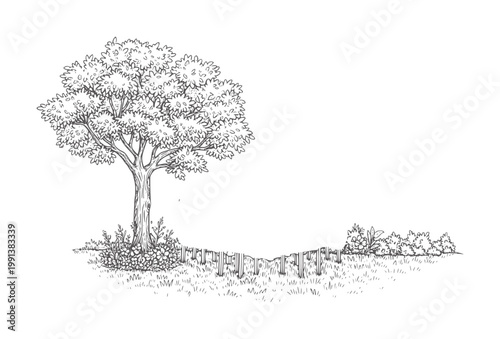 Hand drawn of a leafy tree with a picket fence and garden plants nature