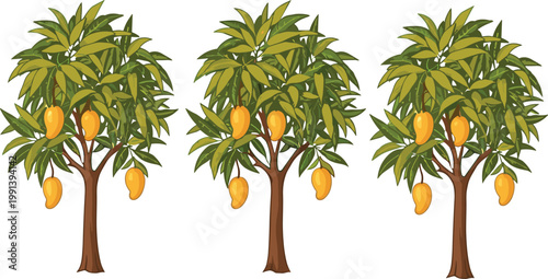 Mango tree vector illustration set with ripe tropical fruit and lush green foliage isolated collection in detailed cartoon style