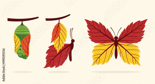 Metamorphosis illustration showing a chrysalis turning into a butterfly made of autumn leaves.